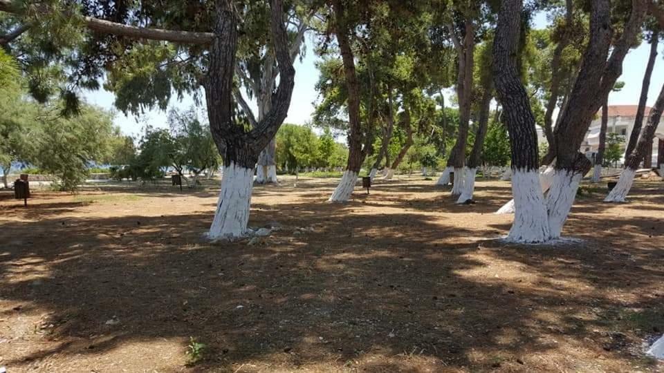 Ενοικιαζόμενα Δωμάτια Πιτσαδιώτη Kiáton Exterior foto